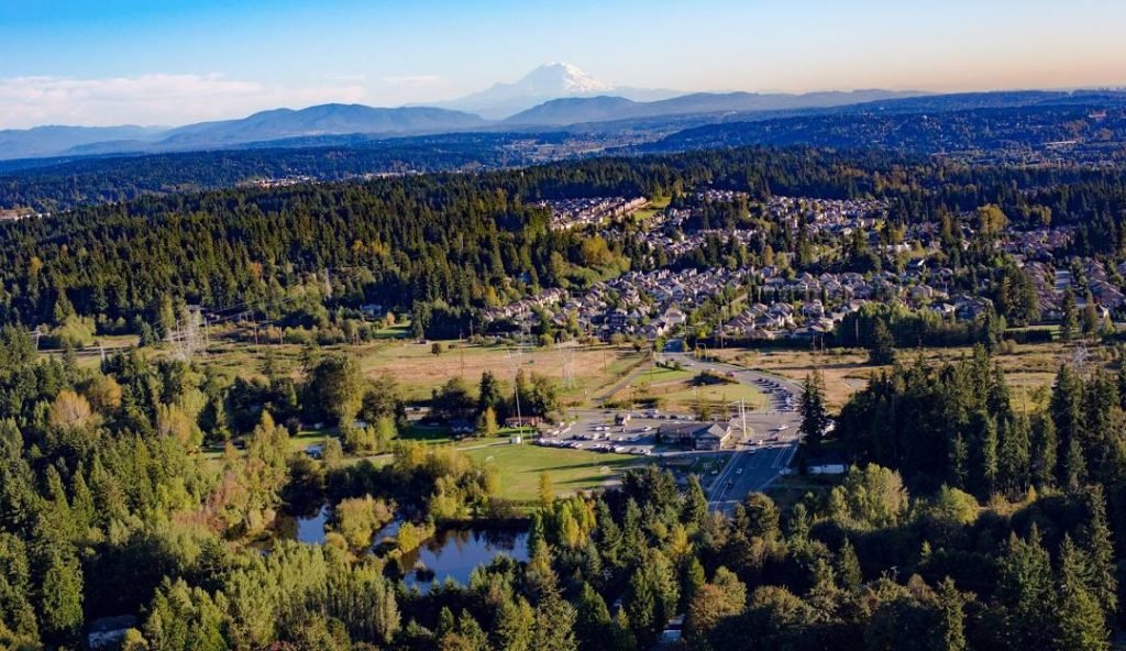 Aerial view of suburban neighborhood surrounded by dense forest