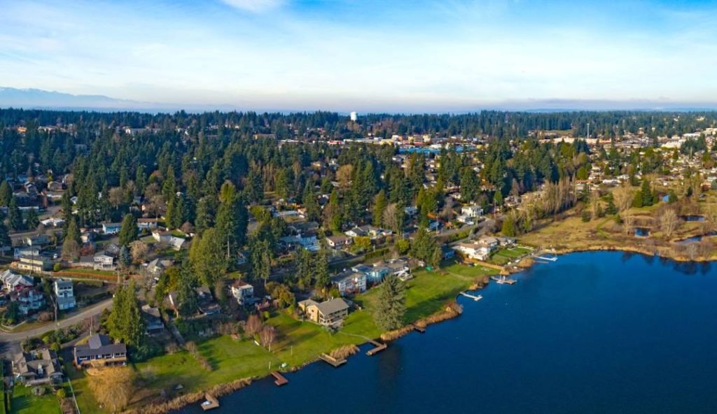 Aerial view of lakeside residential neighborhood with dense trees