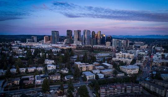 Professional Roofing Services