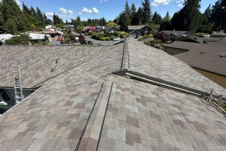 Asphalt shingle roof with ridge vent in suburban neighborhood