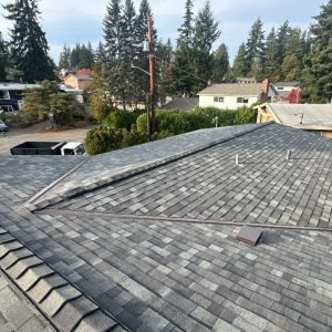 house with dark gray roof.