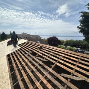 Roofers installing plywood sheathing during residential roof replacement