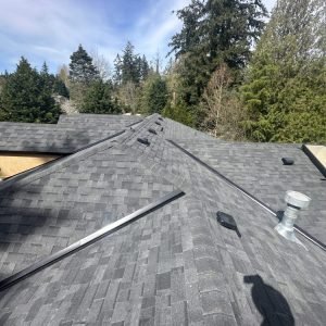 Gray shingle roof with vents and skylight