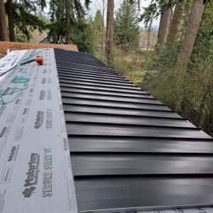 Durable standing seam roofing